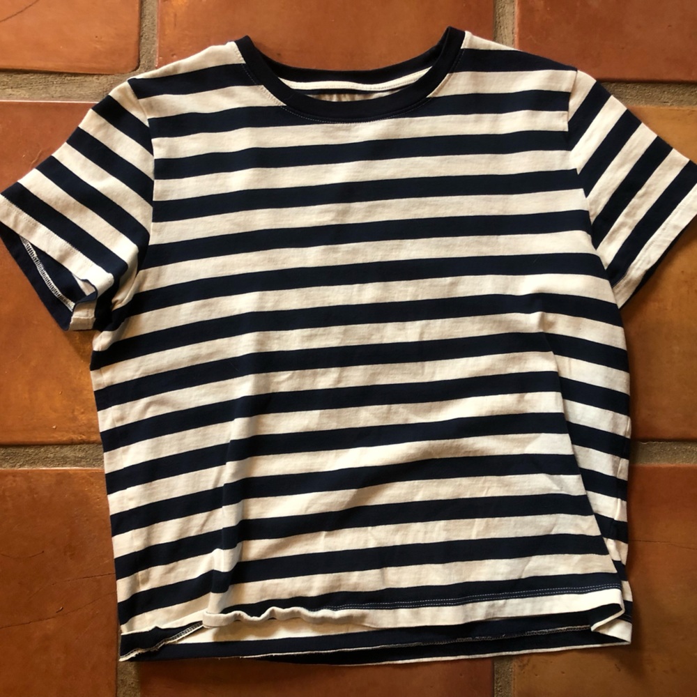 Everlane organic cropped crew neck tee
